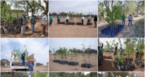 Finalizó la primera etapa del Plan de Activación Frutihortícola
