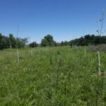Foto-El-Plan-Forestal-provincial-630×426