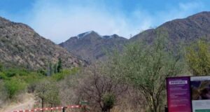 Continúan los trabajos de bomberos y brigadistas por un incendio entre Luján y San Martín