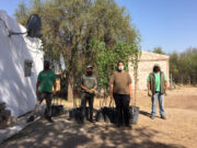 El Plan de Activación Frutihortícola lleva entregados más de 2.700 árboles frutales