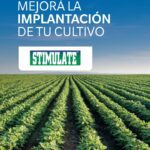 WhatsApp Image 2020-11-02 at 15.13.32 (1)