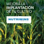 WhatsApp Image 2020-11-02 at 15.13.32