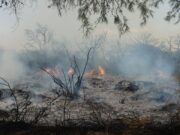 Bomberos y brigadistas continúan trabajando en los incendios de Merlo y Luján