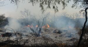 Bomberos y brigadistas continúan trabajando en los incendios de Merlo y Luján