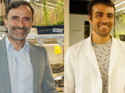 Científicos argentinos descubren que las plantas presentan memoria a corto plazo de la temperatura