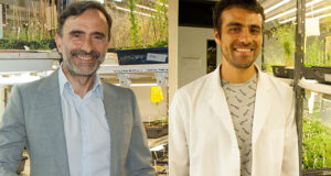 Científicos argentinos descubren que las plantas presentan memoria a corto plazo de la temperatura