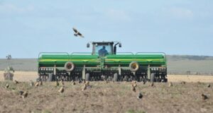 San Luis: creció la intención de siembra para la soja, pero cayó la del maíz