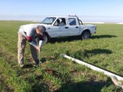 Agro adaptativo: ajustar la demanda agrícola a la oferta variable de agua