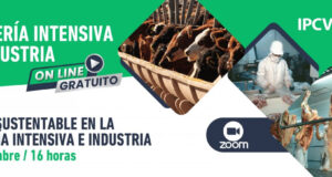 Gestión sustentable en ganadería intensiva e industria: nueva jornada virtual del IPCVA