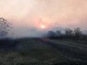 En un año, se duplicó el área de riesgo de incendios en la región centro