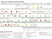 Calendario biodinámico para la siembra de diciembre 2020