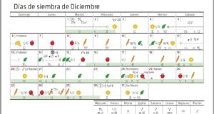 Calendario biodinámico para la siembra de diciembre 2020