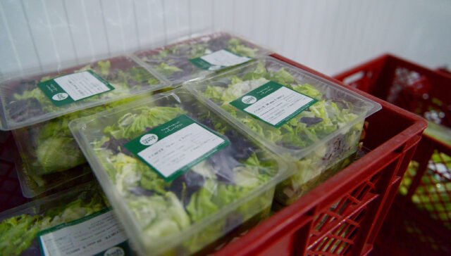 01 - 12 - crecieron las exportaciones de verduras frescs