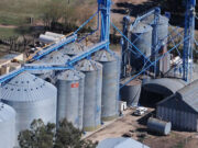Glencore cambió su nombre por Viterra