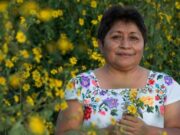 Leydy Pech, la «guardiana de las abejas» que le ganó una batalla a Monsanto en México