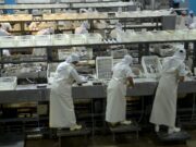 La actividad pesquera y agropecuaria apuntaló la mejora de los indicadores de la economía
