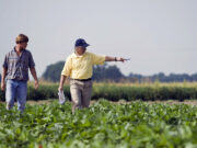 Hay recuperación en la confianza de los productores