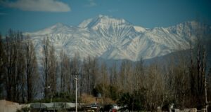 Declaran la emergencia agropecuaria en Mendoza por heladas