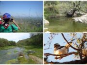 Desde este martes se podrán visitar las Áreas Naturales Protegidas de San Luis
