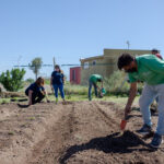 Huerta-EPA-La-Punta-1
