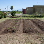 Huerta-EPA-La-Punta-9