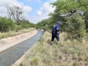 San Luis Agua realiza la limpieza y desmalezado en las márgenes del Canal Paso de las Carretas