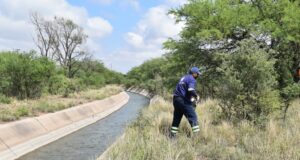 San Luis Agua realiza la limpieza y desmalezado en las márgenes del Canal Paso de las Carretas