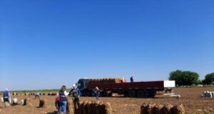 En un campo en Candelaria, detectaron 32 trabajadores en condiciones laborales precarias