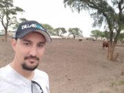 Casale: “Se perdieron 200 mil cabezas por la sequía y la cuarentena en San Luis”