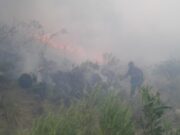 Incendio entre Nogolí y Valle de Pancanta: las llamas continúan y se ubican en una zona inaccesible