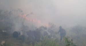 Incendio entre Nogolí y Valle de Pancanta: las llamas continúan y se ubican en una zona inaccesible