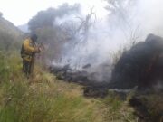El incendio entre Nogolí y Valle de Pancanta adquirió grandes dimensiones y se mantiene en altura
