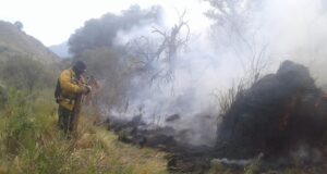 El incendio entre Nogolí y Valle de Pancanta adquirió grandes dimensiones y se mantiene en altura