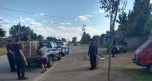 Buena Esperanza: la Policía regresó a su hábitat natural a un águila y una serpiente Boa