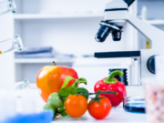 Alimentos: aprueban nueva carrera de posgrado de la Universidad Nacional de San Luis