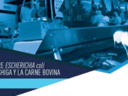 Mañana: taller virtual del IPCVA “Mitos y verdades sobre Escherichia coli, productor de toxina Shiga, y la carne vacuna”