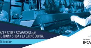 Mañana: taller virtual del IPCVA “Mitos y verdades sobre Escherichia coli, productor de toxina Shiga, y la carne vacuna”
