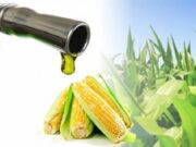 Las cámaras de biocombustibles pidieron que se trate la prórroga a la ley