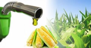 Las cámaras de biocombustibles pidieron que se trate la prórroga a la ley