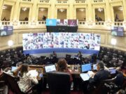 Cuál fue la actividad legislativa referida al agro en 2020