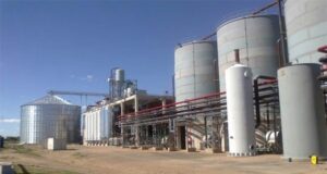 Aprueban suba del 33% del bioetanol de maíz para combustibles