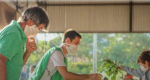 Organizaciones campesinas apoyan la limitación a la exportación de maíz