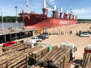 Entre Ríos exportó 1,2 millón de toneladas de madera por $ 3.000 millones en dos años