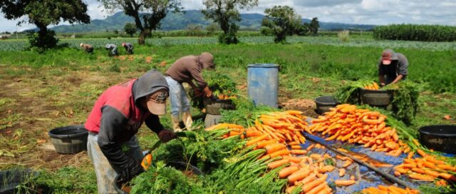 18 - 01 - agricultura familiar