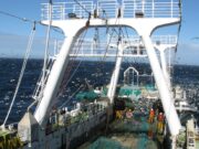 Con expectativas, arrancó la temporada del calamar