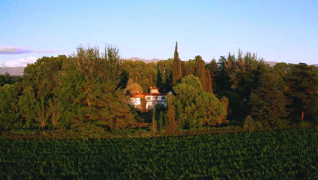 19 - 01 - Bodega de Luis Baldini comprada por Concha y Toro