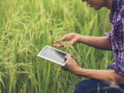 Convocatoria en Córdoba para financiamiento de agtech