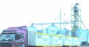 La liquidación de exportaciones de granos promete divisas récord