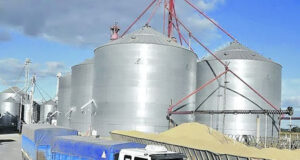 La industria molinera se desliga de subas en la harina