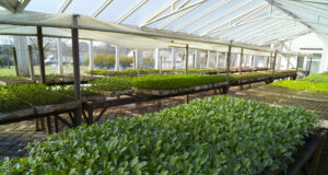 Agricultura creó el Plan Estratégico del sector de la Producción Orgánica